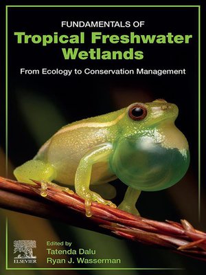 cover image of Fundamentals of Tropical Freshwater Wetlands